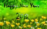 Bộ 20 hình nền tết happy new year 2017 full HD số 5
