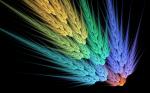 Hình nền multicolor fractals