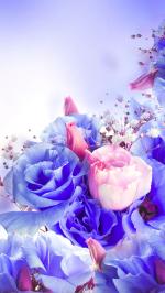 Hoa hồng xanh làm hình nền tuyệt đẹp