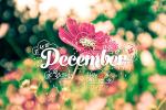 15 ảnh bìa facebook chào tháng 12 đẹp không thể bỏ qua