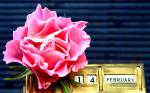 Bộ ảnh valentine 14 2 với những bó hồng kèm hộp quà cực chất số 22
