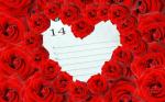 Bộ ảnh valentine 14 2 với những bó hồng kèm hộp quà cực chất số 25