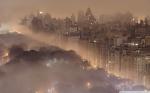 Thành phố mờ sương 7