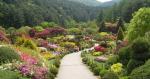 Morning Calm (Vườn Yên Tĩnh) là khu vườn thảo mộc tuyệt đẹp nằm ở huyện Gapyeong, tỉnh Gyeonggi. Nơi này có rất nhiều loại thực vật quý hiếm và hoa thơm cỏ lạ được trồng theo lối kiến trúc nhà vườn, một nơi tuyệt đẹp để ngắm cảnh và nghỉ dưỡng