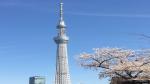 Tháp truyền hình Tokyo Sky Tree là một trong những điểm tham quan nổi tiếng Tokyo. Từ đài quan sát, du khách có thể ngắm toàn cảnh 360 độ thành phố Tokyo, những tòa cao ốc, sông và cảng, cùng khu vực kéo dài trên phạm vi 100km đến tận núi Phú Sĩ. 
