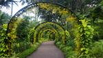 Vườn bách thảo Singapore,  Khu vườn có hơn 60.000 loài động thực vật, và là nơi có Vườn trẻ em đầu tiên trên thế giới – địa điểm hoàn hảo để các em có thể vui chơi và khám phá thế giới tự nhiên kỳ thú. Bạn có thể chọn mua sách và cây làm quà lưu niệm cho bạn bè, người thân.