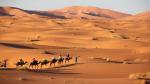 Khu bảo tồn Sa mạc Dubai được biết đến là khu vực bảo tồn chặt chẽ rộng 225 km vuông trên sa mạc Ả Rập, chiếm gần 5 phần trăm tổng diện tích đất Dubai. Các hoạt động như: cưỡi lạc đà hay ngựa vượt sa mạc, quan sát các loài động vật hoang dã và cắm trại dưới các vì sao sáng tại công viên quốc gia đầu tiên của Các Tiểu vương quốc Ả Rập Thống nhất là những trải nghiệm thú vị mà chỉ có đến đây bạn mới được thử sức.