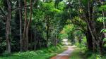 Cách thủ đô Hà Nội 120 km về phía nam, nằm lọt sâu trong lòng dãy núi Tam Điệp, có một mảnh đất đã trở lên vô cùng quen thuộc, thân thương, gợi lên tính hiếu kỳ cho biết bao du khách trong và ngoài nước, đó là Vườn quốc gia Cúc Phương - Vườn quốc gia đầu tiên của Việt Nam. Vườn quốc gia Cúc Phương có diện tích 25.000 ha và là rừng quốc gia đầu tiên của Việt Nam. Với đặc trưng là rừng mưa nhiệt đới, xanh quanh năm, Cúc Phương có quần hệ động thực vật phong phú, gồm rất nhiều loài cây và thú quý hiếm. Loài voọc đen mông trắng là loài thú linh trưởng rất đẹp và quý hiếm được chọn làm biểu tượng của vườn quốc gia Cúc Phương. Hàng năm, vườn quốc gia đón đông đảo những người yêu thích thiên nhiên đến khám phá và trải nghiệm.