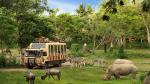 Ngoài ra, Vinpearl Safari là công viên chăm sóc và bảo tồn động thực vật lớn nhất Việt Nam. Đến đây, bạn sẽ được chiêm ngưỡng những loài động vật như hồng hạc, hươu cao cổ, tê giác…