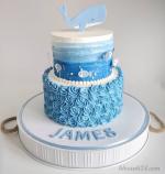 Hình ảnh những mẫu bánh sinh nhật màu xanh, xanh dương, xanh ngọc đẹp nhất - 11
