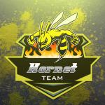 Những mẫu logo team, logo game phong cách Mascot cực chất - Hornet Logo