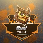 Những mẫu logo team, logo game phong cách Mascot cực chất - Owl Logo