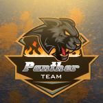 Những mẫu logo team, logo game phong cách Mascot cực chất - Panther Logo