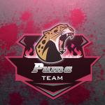 Những mẫu logo team, logo game phong cách Mascot cực chất - Puma Logo