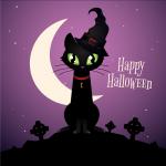 Tải ngay bộ Avatar, hình nền Halloween Mèo đen cực dễ thương - 21