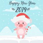 Tải vector heo tết 2019, vector con heo mừng năm mới 2019 cực dễ thương - hình 3