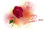 Hình nền hoa hồng tình yêu cho lễ tình yêu Valentine đẹp Full HD