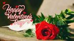 Hình nền hoa hồng tình yêu cho lễ tình yêu Valentine đẹp Full HD - Hình 13
