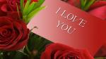 Hình nền hoa hồng tình yêu cho lễ tình yêu Valentine đẹp Full HD - Hình 7