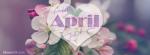 Ảnh bìa, cover facebook tháng 4 - Welcome April cực đẹp - 3
