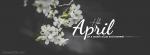 Ảnh bìa, cover facebook tháng 4 - Welcome April cực đẹp - 2