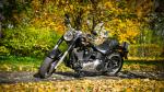 Harley-Davidson  -Hình 72