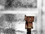 Hình ảnh buồn về cuộc sống bế tắc với người gỗ danbo buồn đi dưới mưa 
