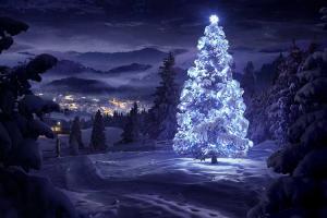 Hình nền cây thông giáng sinh ánh sáng lấp lánh đêm Noel