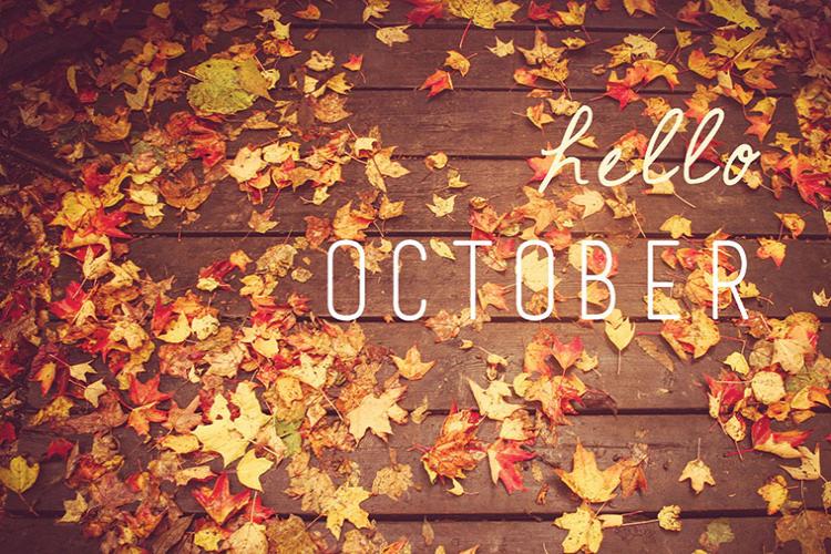 Hãy khởi động tháng 10 mới với ảnh bìa Facebook đầy màu sắc và năng lượng tích cực nhất! Cùng chiêm ngưỡng hình ảnh chào tháng mới đẹp lung linh, mang lại niềm vui, sự may mắn và thành công cho những dự định trong tháng này nhé!
