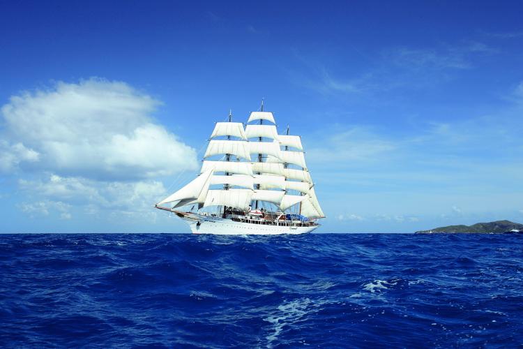 Hình nền  thuyền Tàu buồm biển Bay Xe cây cọ Đảo Đầm phá  Caribbean đại dương Thuyền buồm Hình nền máy tính 1920x1200   PhoenixBlood  173051  Hình nền đẹp hd  WallHere